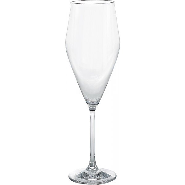 gimex Champagner Glas gimex Eleganza