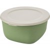 koziol Box mit Deckel koziol 2 l CONNECT BOX 2 Farbe nature leaf green