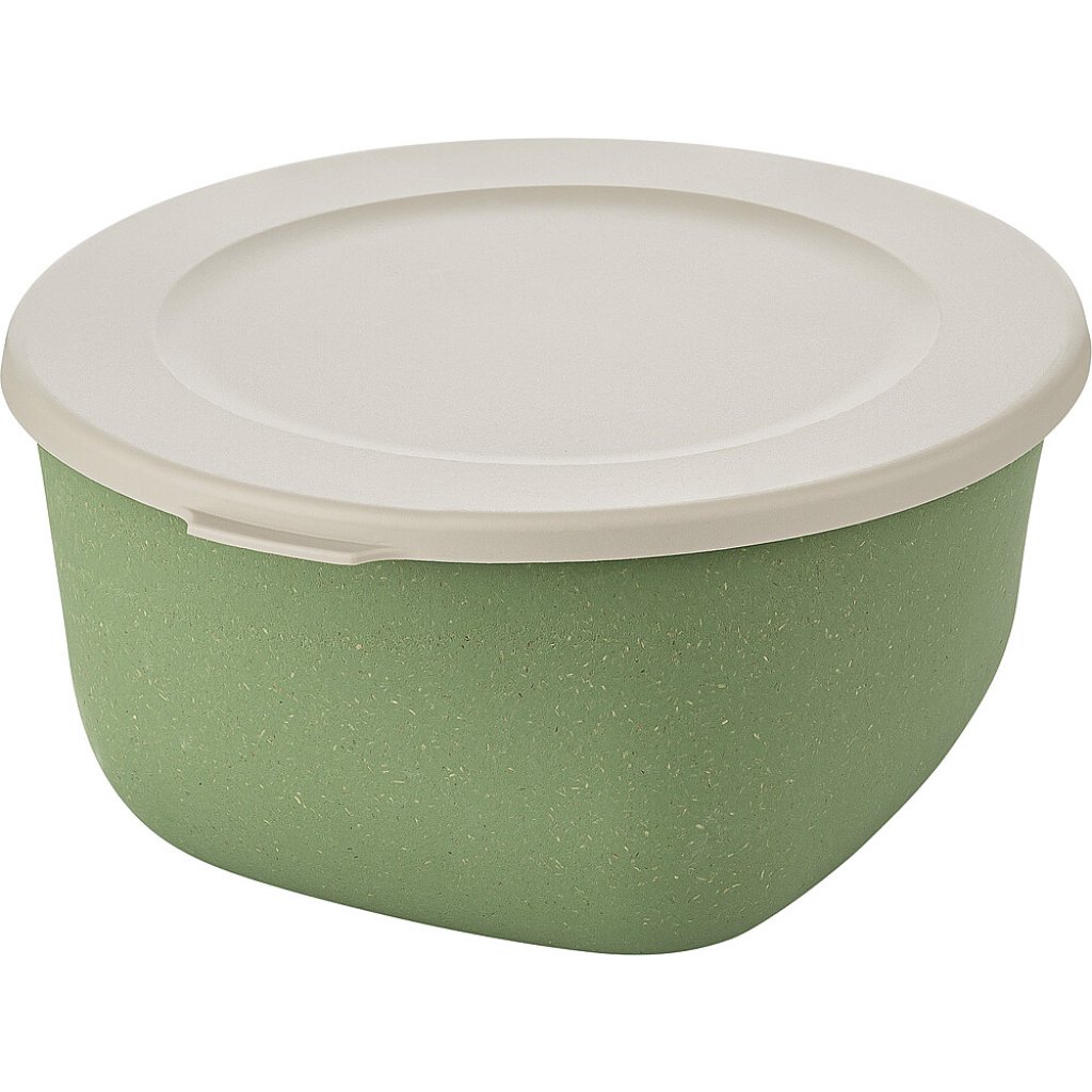 koziol Box mit Deckel koziol 2 l CONNECT BOX 2 Farbe nature leaf green